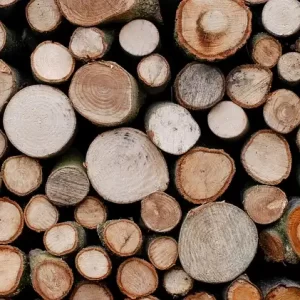 Madera para muebles industriales de Guatemala